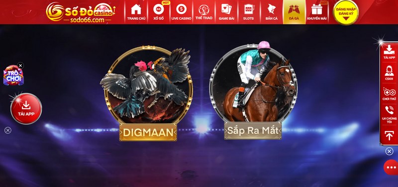 Sodo66 - Nhà cái đẳng cấp trong từng dịch vụ cá cược 5 Đá Gà Mang Đến Những Trận Chiến Thăng Hoa Kịch Tính