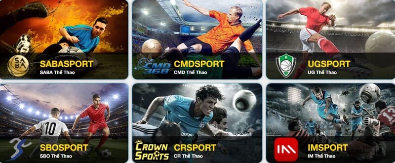 OK 9 - Sân chơi giải trí chất lượng cho thành viên 3 Cá Cược Thể Thao Vô Cùng Hấp Dẫn Mỗi Ngày